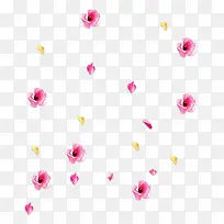 粉色花瓣