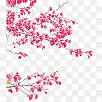 海报红色树枝花朵梅花效果