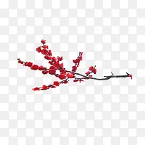 红色梅花枝