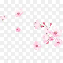 小清新粉色樱花