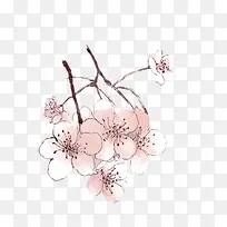 手绘梅花
