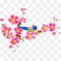 手绘梅花健康教育图片