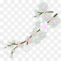 手绘春季粉绿色梅花