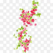 手绘花卉