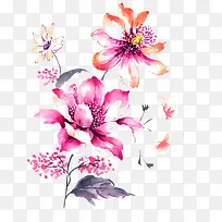 花卉