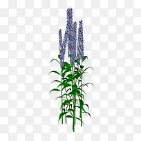手绘花卉素材国画花卉素材