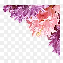 水彩花卉