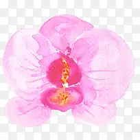 花朵
