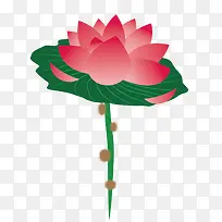 矢量花卉
