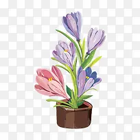 卡通手绘花花盆