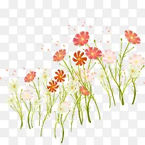 鲜花装饰