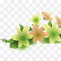 花，绿色花，淘宝素材
