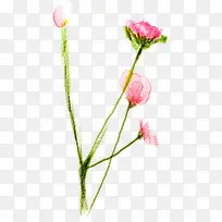 手绘粉色花卉个性主图