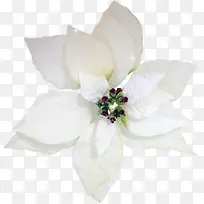 白色清新花主页装修
