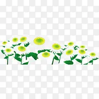 白色花朵主页装修