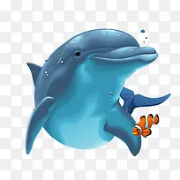 2017 海豚 动物 哺乳动物