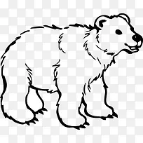 北极熊 简笔 黑白