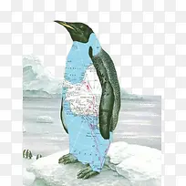 极地企鹅