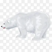 卡通动物北极熊