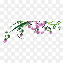 紫色花花