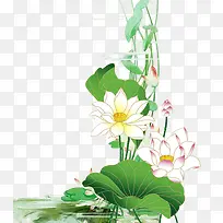 手绘荷花池塘