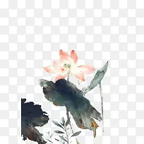 水墨荷花