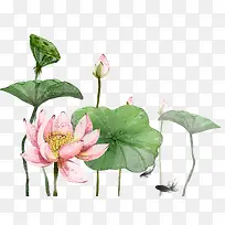 免抠手绘荷花装饰图案