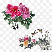 中国风花鸟素材