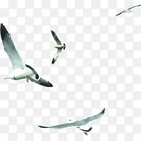 创意合成摄影森林飞翔的海鸥