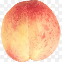 高清摄影夏天的水果水蜜桃