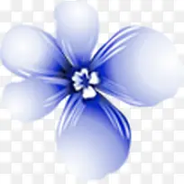 摄影蓝色海报花朵