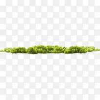 摄影海报绿色植物