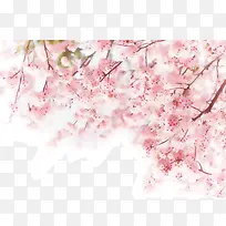 樱花树枝手绘卡通