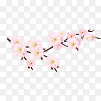 樱花矢量图
