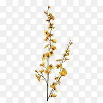 黄色树枝花朵装饰图案