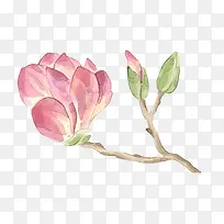 树枝上的花朵