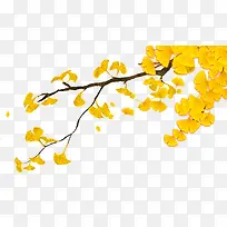 黄色树枝叶子装饰