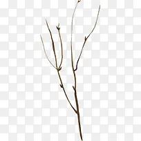 手绘树枝