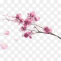 樱花花瓣元素