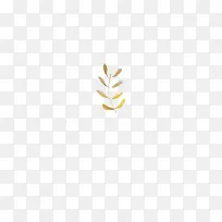 树枝树叶