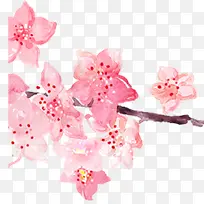 粉色手绘水彩樱花