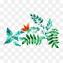 水彩树叶植物