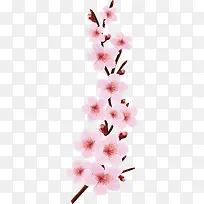 樱花矢量设计
