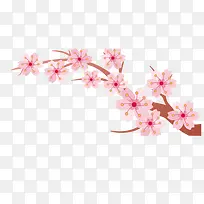 樱花 花纹 淡粉色