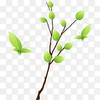 卡通清新树枝
