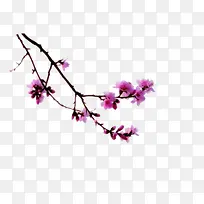 花朵粉红樱花装饰