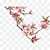 樱花粉红花朵花枝装饰