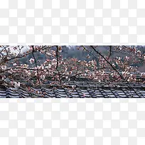 樱花日式建筑