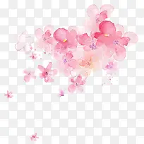 手绘粉色樱花画册