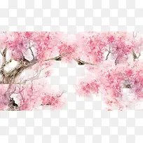 樱花 花瓣
